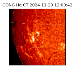 gong - 2024-11-20T12:00:42