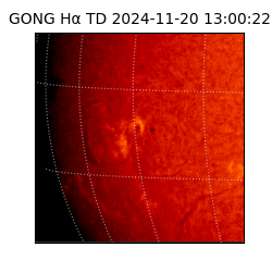 gong - 2024-11-20T13:00:22