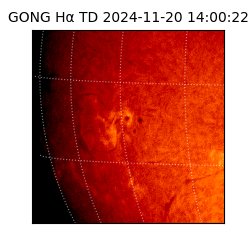 gong - 2024-11-20T14:00:22