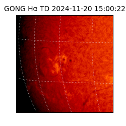 gong - 2024-11-20T15:00:22