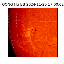 gong - 2024-11-20T17:00:02