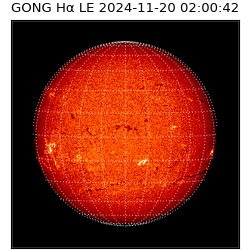 gong - 2024-11-20T02:00:42