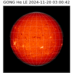 gong - 2024-11-20T03:00:42