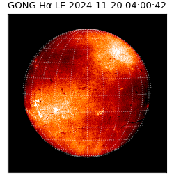 gong - 2024-11-20T04:00:42