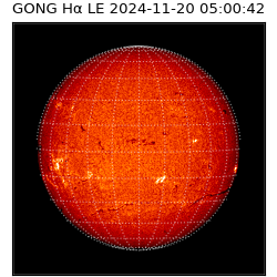 gong - 2024-11-20T05:00:42