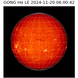 gong - 2024-11-20T06:00:42