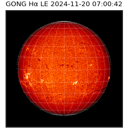 gong - 2024-11-20T07:00:42