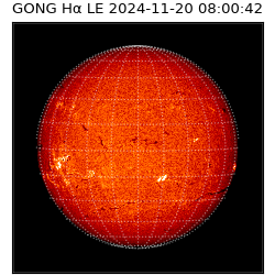 gong - 2024-11-20T08:00:42