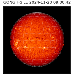 gong - 2024-11-20T09:00:42