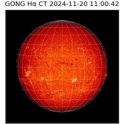 gong - 2024-11-20T11:00:42