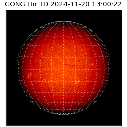 gong - 2024-11-20T13:00:22