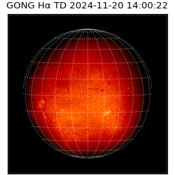 gong - 2024-11-20T14:00:22