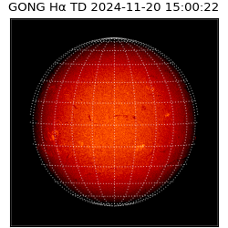 gong - 2024-11-20T15:00:22