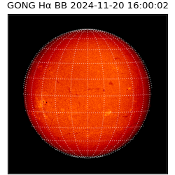 gong - 2024-11-20T16:00:02