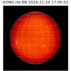 gong - 2024-11-20T17:00:02