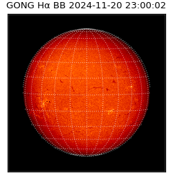 gong - 2024-11-20T23:00:02