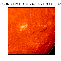 gong - 2024-11-21T03:05:02