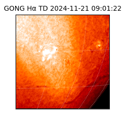 gong - 2024-11-21T09:01:22