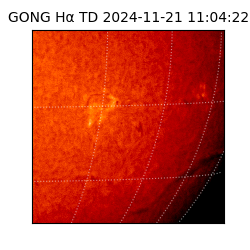 gong - 2024-11-21T11:04:22