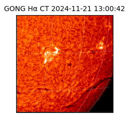 gong - 2024-11-21T13:00:42