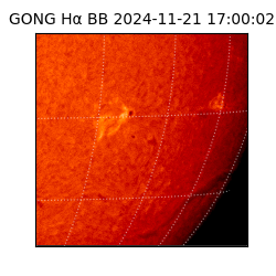 gong - 2024-11-21T17:00:02