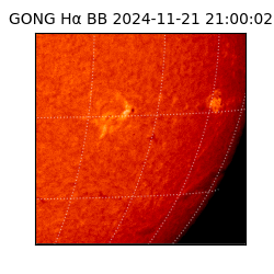 gong - 2024-11-21T21:00:02