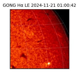 gong - 2024-11-21T01:00:42