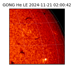 gong - 2024-11-21T02:00:42