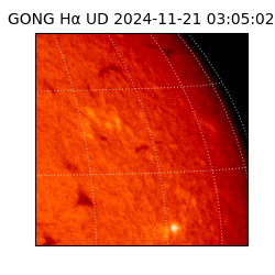 gong - 2024-11-21T03:05:02