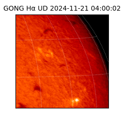 gong - 2024-11-21T04:00:02