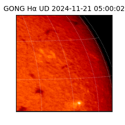 gong - 2024-11-21T05:00:02