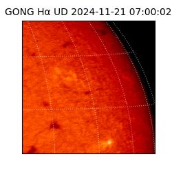 gong - 2024-11-21T07:00:02