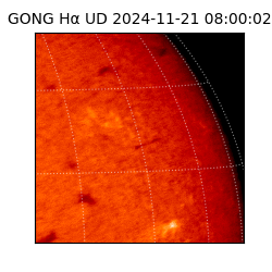 gong - 2024-11-21T08:00:02