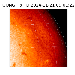 gong - 2024-11-21T09:01:22