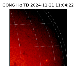 gong - 2024-11-21T11:04:22