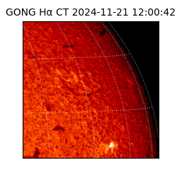 gong - 2024-11-21T12:00:42