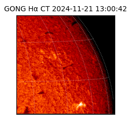 gong - 2024-11-21T13:00:42