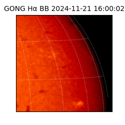 gong - 2024-11-21T16:00:02