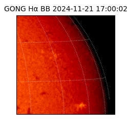 gong - 2024-11-21T17:00:02