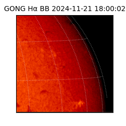 gong - 2024-11-21T18:00:02