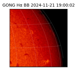 gong - 2024-11-21T19:00:02