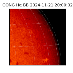 gong - 2024-11-21T20:00:02