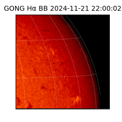 gong - 2024-11-21T22:00:02