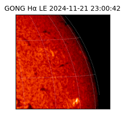 gong - 2024-11-21T23:00:42