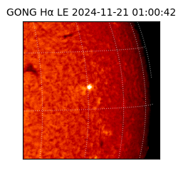 gong - 2024-11-21T01:00:42