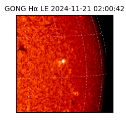 gong - 2024-11-21T02:00:42