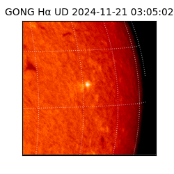 gong - 2024-11-21T03:05:02