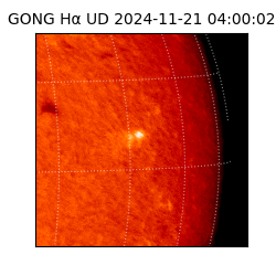 gong - 2024-11-21T04:00:02