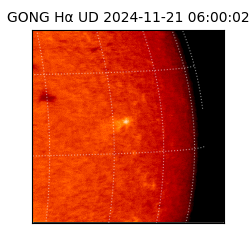 gong - 2024-11-21T06:00:02