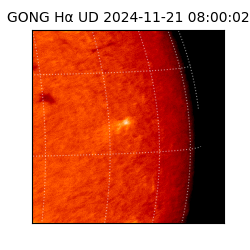 gong - 2024-11-21T08:00:02